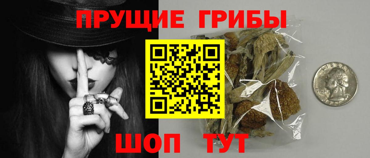 Галлюциногенные грибы прущие грибы Камышин